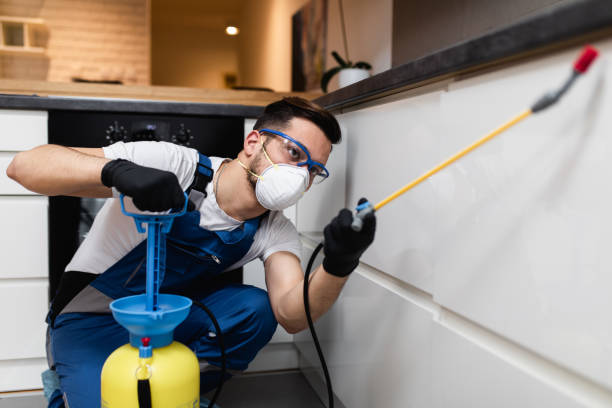 Best Affordable Pest Control Services  in Stryker, OH