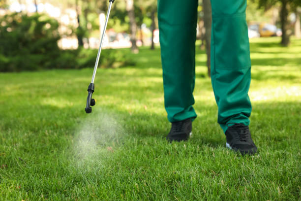 Best Mosquito Control Services  in Stryker, OH