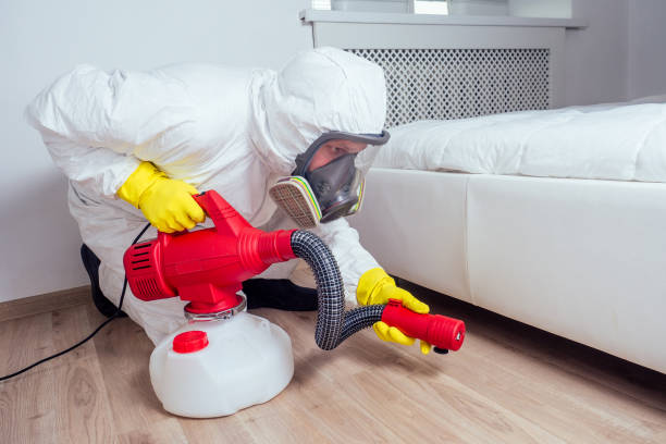 Best Flea Control Services  in Stryker, OH