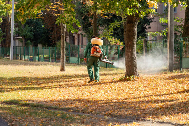 Trusted Stryker, OH Pest Control Experts