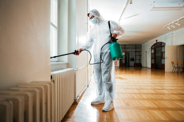 Best Cockroach Control Services  in Stryker, OH