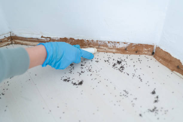 Best Best Pest Control Companies  in Stryker, OH